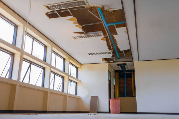  Vevay, IN Water damage restoration Pros