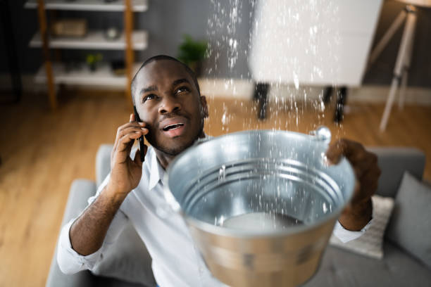 Best 24-hour water damage restoration  in Vevay, IN