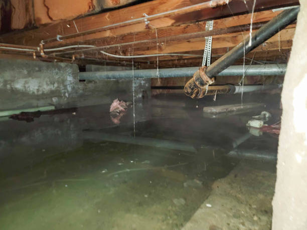 Best Emergency water damage restoration  in Vevay, IN