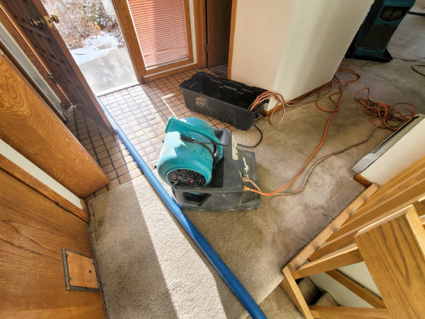 Best Water damage restoration experts  in Vevay, IN