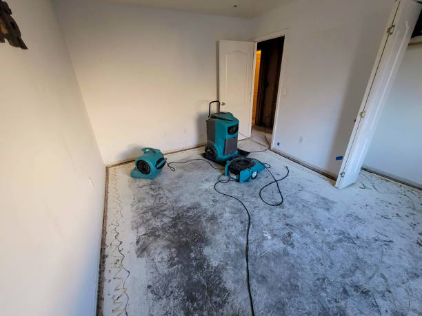 Best Flooded house restoration  in Vevay, IN